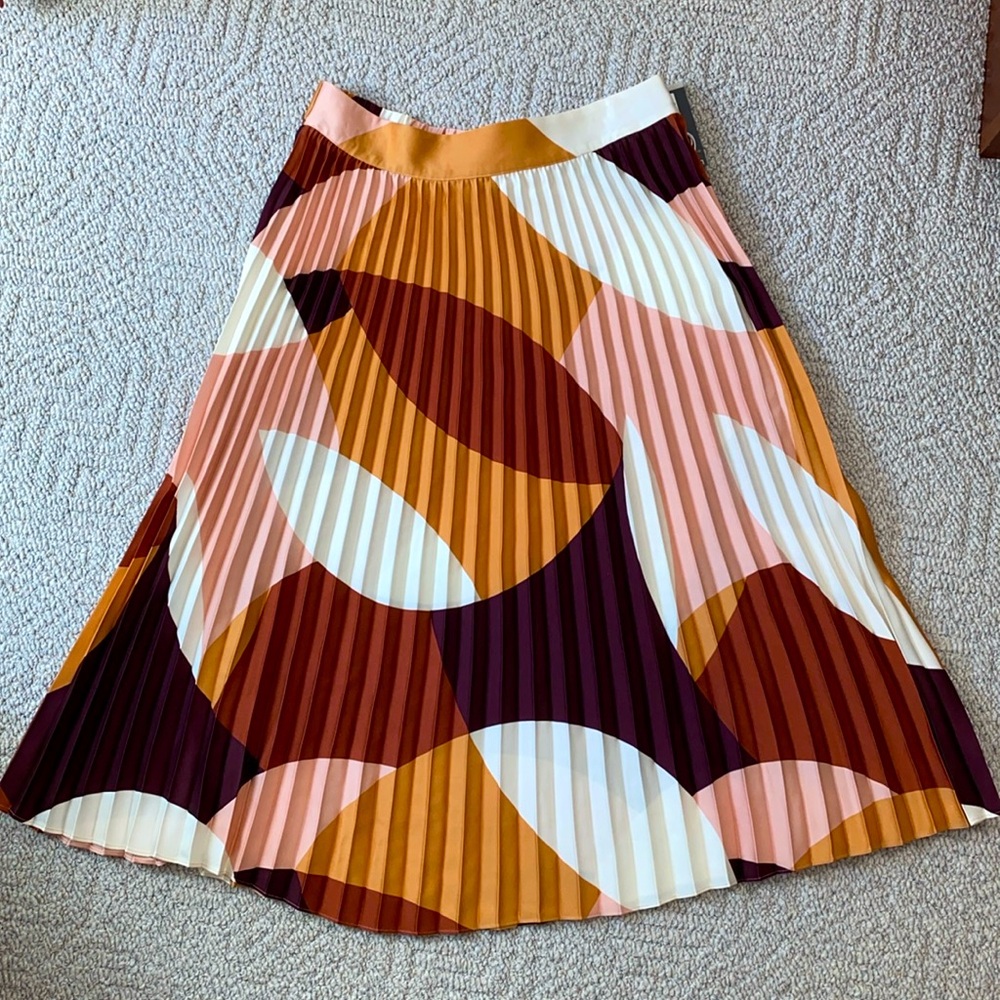 Beautiful knife pleated skirt